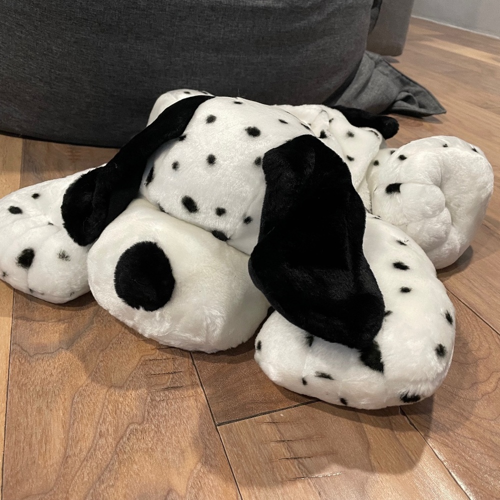 New Set of Mother Dalmatian Dog and 4 Puppies